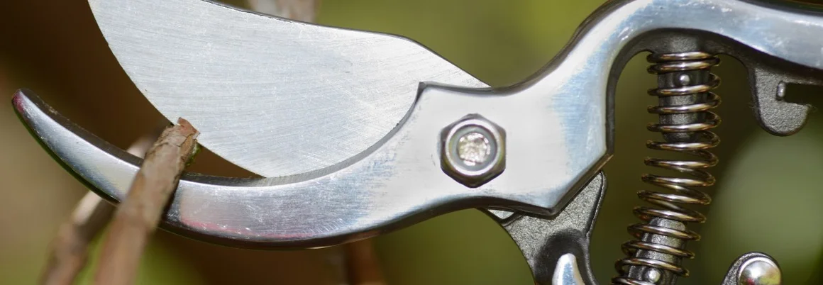 Gartenschere schneidet einen Ast